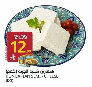 HUNGARIAN SEMI - CHEESE