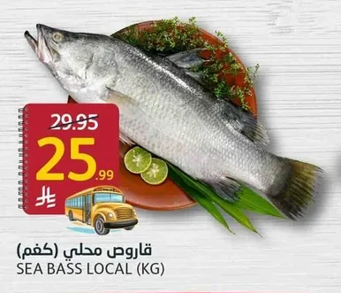 قاروص محلي