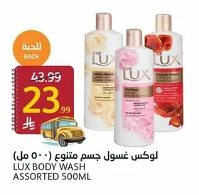 Body Wash Assorted