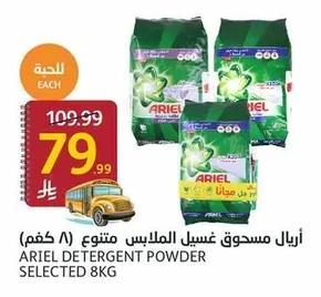 Powder Laundry Detergent Assorted