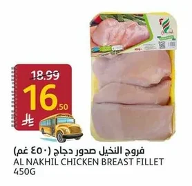 Chicken Breast Fillet
