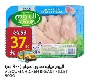 Chicken Breast Fillet