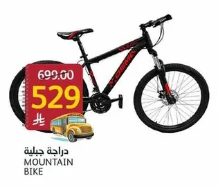 MOUNTAIN BIKE