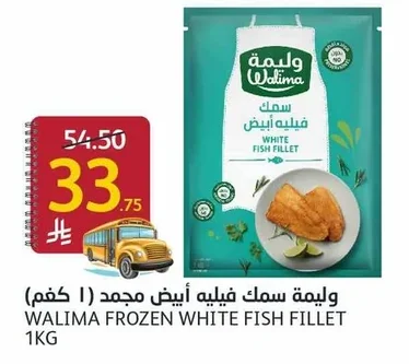 FROZEN WHITE FISH FILLET
