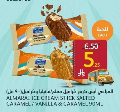 Salted Caramel / Vanilla & Caramel Ice Cream