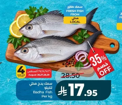 سمك بدح محلي