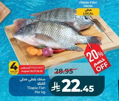 سمك بلطي محلي
