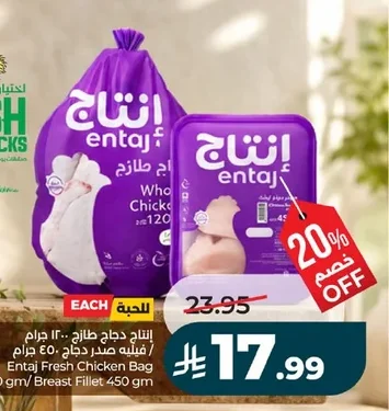 إنتاج دجاج طازج