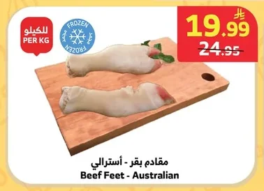 مقدمم بقر
