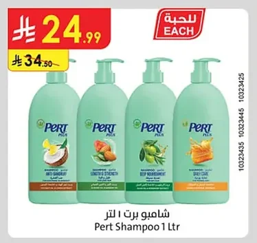 شامبو برت