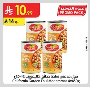 Plain Foul Medames