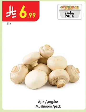 Mushroom