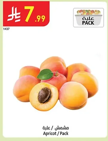 Apricot