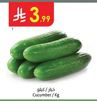 Cucumber