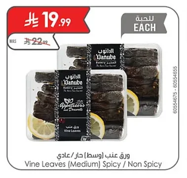 Vine Leaves (Medium) Spicy / Non Spicy