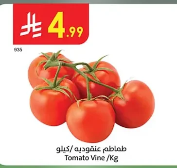 Tomato Vine