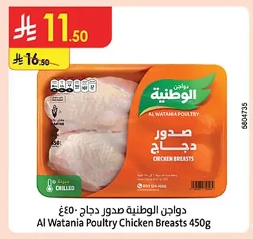 صدور دجاج