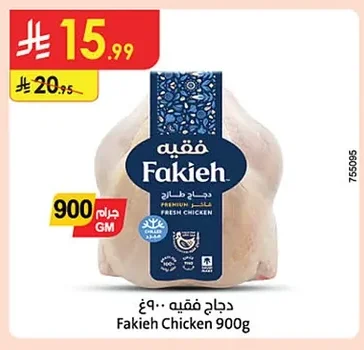 دجاج فقيه