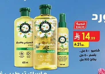 Shampoo