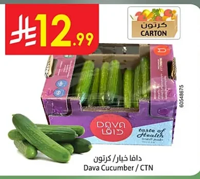Cucumber