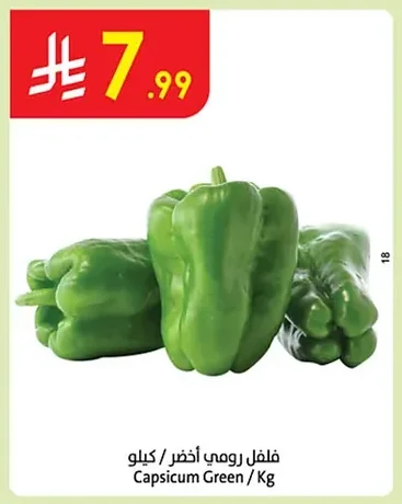 Capsicum Green