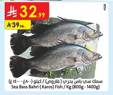 Sea Bass Bahri (Karos) Fish / Kg (800g - 1400g)