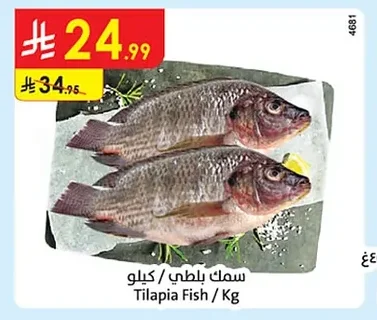 Tilapia Fish / Kg