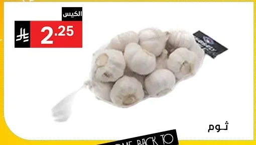 Garlic