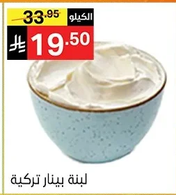 لبنة بينار تركية