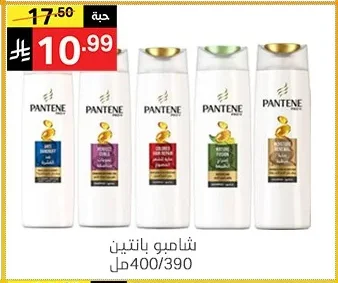 شامبو بانتين