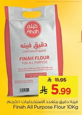 فينه دقيق متعدد الاستخدامات