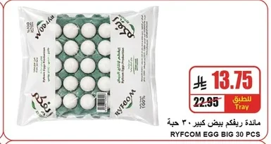 Large Eggs