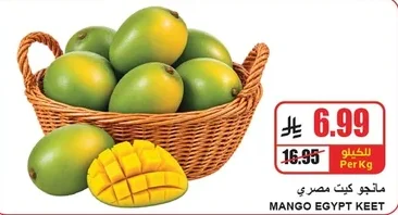 MANGO EGYPT KEET