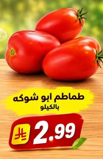 Abu Shoka Tomatoes