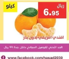 افندي افريقي بدون بذر