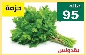 بقدونس