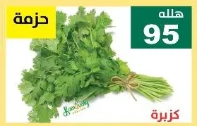 كزبرة