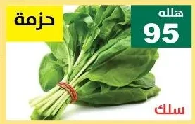سلق