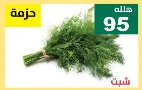 شبت