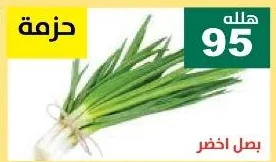 بصل اخضر