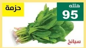 سبانخ