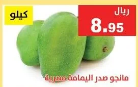 مانجو صدر اليمامة مصرية