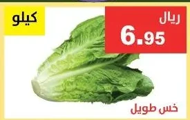 خس طويل