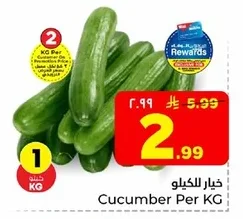 خيار للكيلو