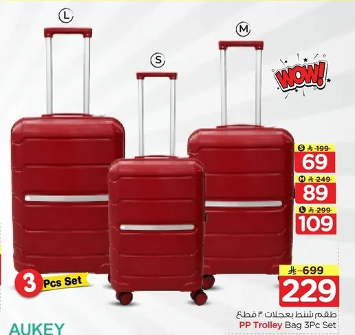 PP Trolley Bag 3Pc Set