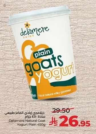 Delamere Natural Goat Yogurt Plain