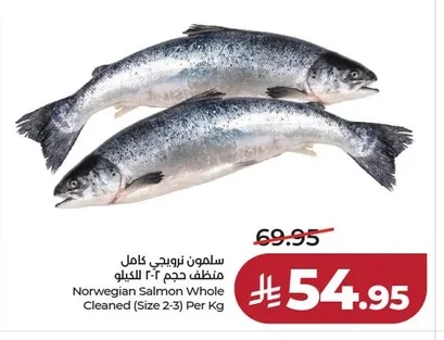 سلمون نرويجي كامل