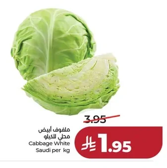 ملفوف ابيض