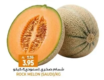 شمام صخري (سعودي)