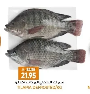 سمك البلطي المذاب